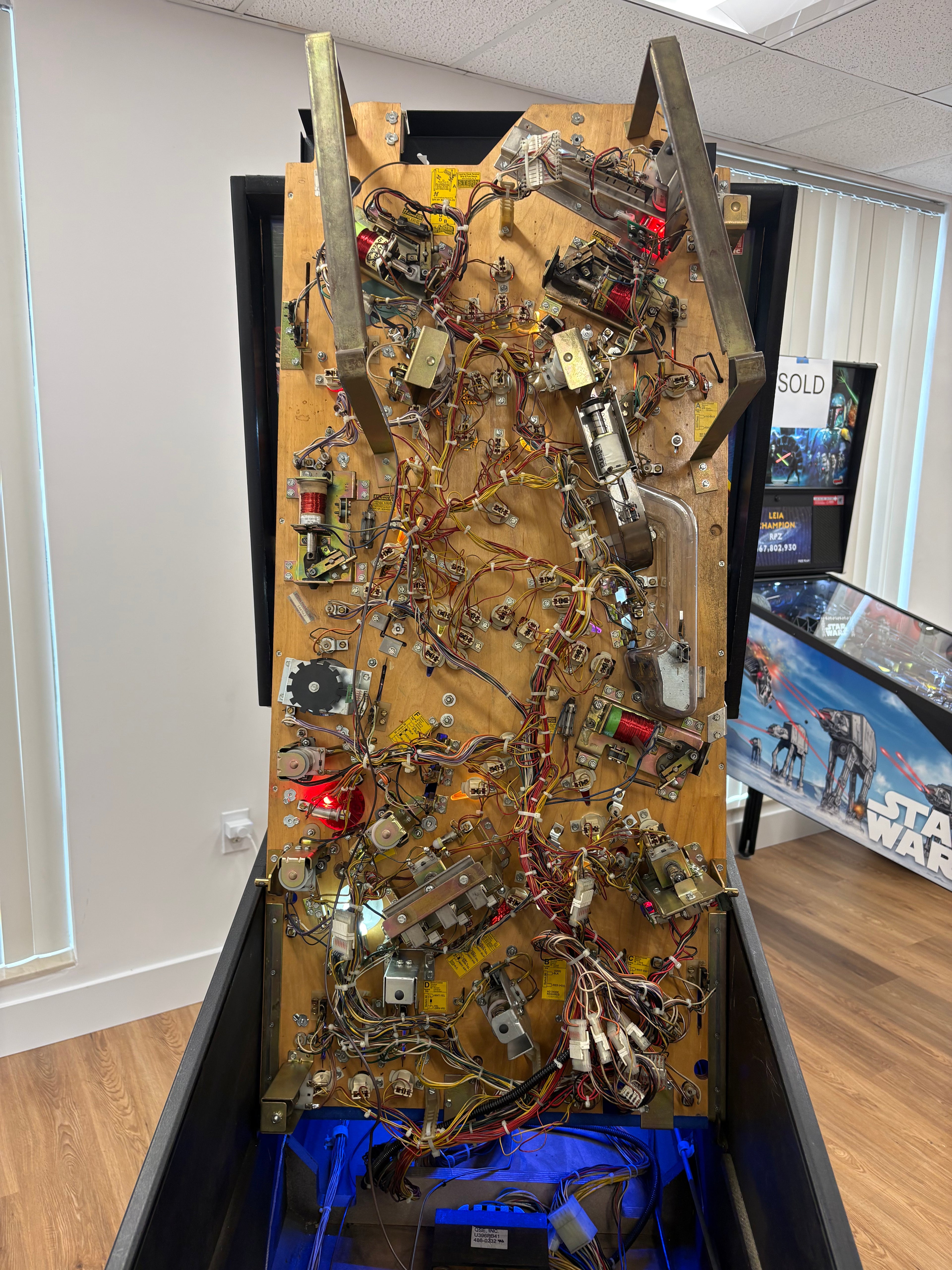 RollerCoaster Tycoon Pinball Machine